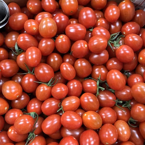 『訳ありA品・アイコ2kg箱♪』ヘタありランダム♪ちょうどいい酸味と甘味おすすめ