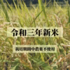 [値下げ]令和三年新米です！減農薬米