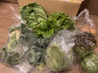 みんなの投稿の画像