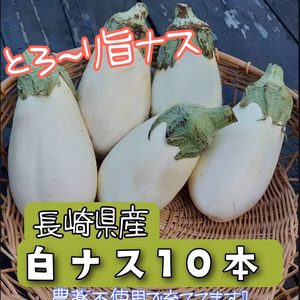 長崎県産白ナス10個