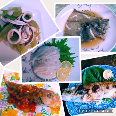 みんなの投稿の画像