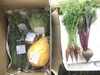 月2回 山梨県韮崎市から送る旬の野菜セット