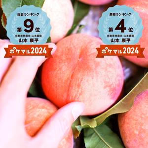 ６月初～中旬予約【糖度12度以上保証】 路地最速桃！レア品種ミニピーチ！