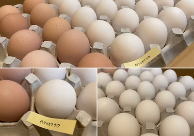 みんなの投稿の画像