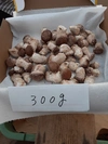 アヒージョが美味しい‼プリプリ食感の芽欠き椎茸(菌床)3月8日迄
