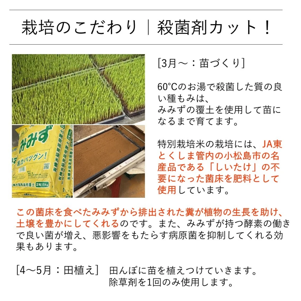 新米《特別栽培米・白米》あいさい一楽米 令和5年産徳島県産コシヒカリ