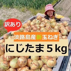 【訳】みずみずしくシャキッと甘い！淡路島産ブランド新玉ねぎ 『にじたま』5kg