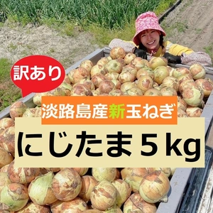 【訳】みずみずしくシャキッと甘い！淡路島産ブランド新玉ねぎ 『にじたま』5kg