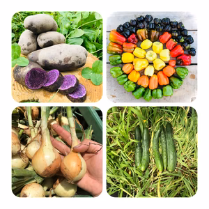 【数量限定】【数量限定】旨い野菜！最後の夏をお届けセット！農薬不使用　固定種　自