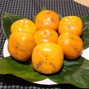 見た目が良くない「たねなし柿」(箱込み2kg以内・6～８個入り）大き目サイズ