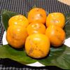 見た目が良くない「たねなし柿」(箱込み2kg以内・6～８個入り）大き目サイズ