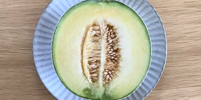 おうちに丸ごとお出迎え🍈🍉メロンとスイカ のたしなみ