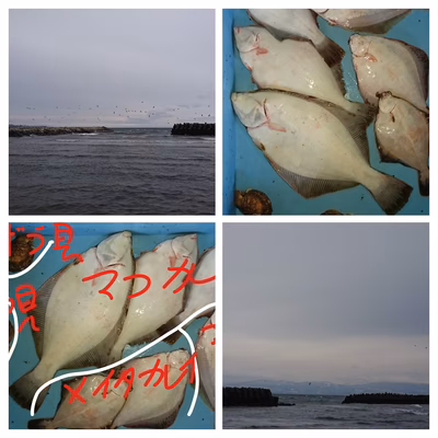 みんなの投稿の画像