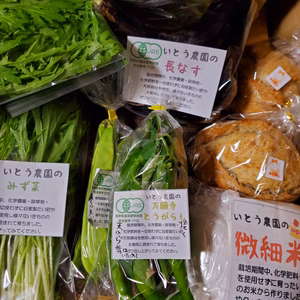 JAS有機☆特栽秋野菜とカンパーニュと米粉を☆信州諏訪湖からクールでお届け