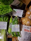JAS有機☆特栽秋野菜とカンパーニュと米粉を☆信州諏訪湖からクールでお届け