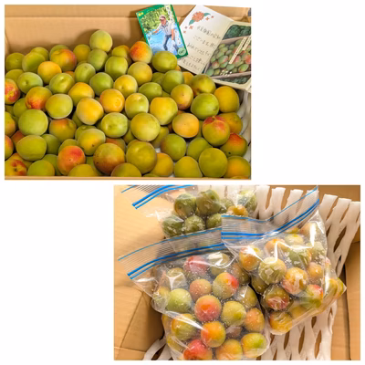 みんなの投稿の画像