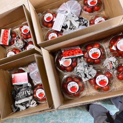 みんなの投稿の画像