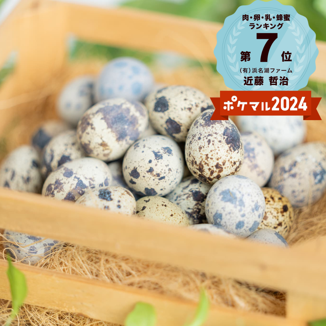 値引】いちょう葉カプセルGi】3月分.烏骨鶏卵黃90粒¥11,700円を 鶏がら