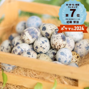 【お得な家庭用定期便！】濃厚！命のカプセル（うずらの卵)