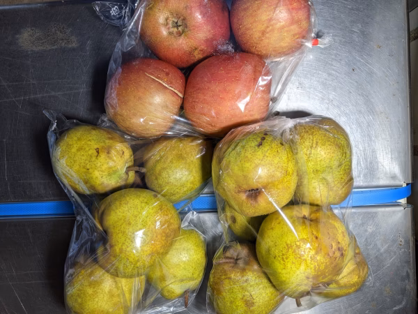 りんごとラ・フランス家庭用