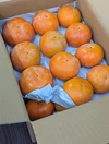 味わい深いコク＊富有柿＊【訳あり】中箱・大箱