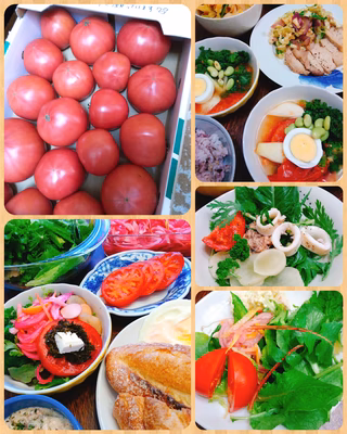 みんなの投稿の画像