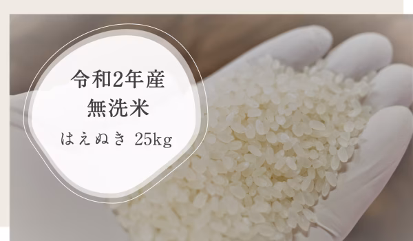 令和2年 はえぬき 無洗米 山形尾花沢産 新米
