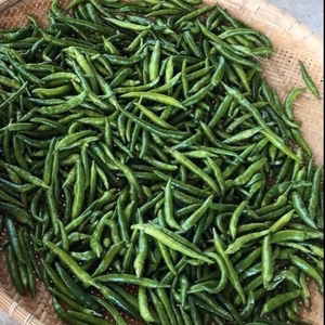 【冷凍】農園女子の安心青唐辛子　高知県四万十市産　農薬化学肥料不使用