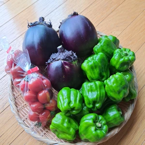 信州産 有機栽培 信州伝統野菜2品目&ミニトマト【化学肥料・農薬・除草剤不使用】