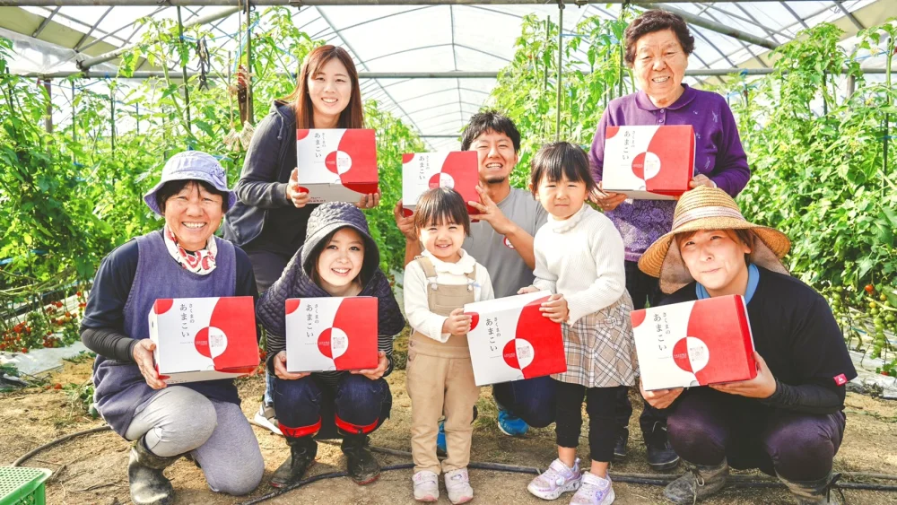 【お買い得！】さくまあまこい 3キロ　ミニトマト