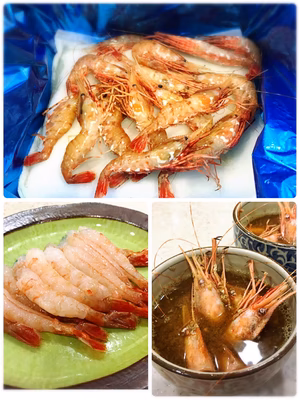 みんなの投稿の画像