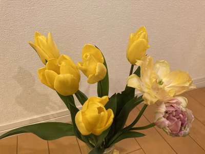 みんなの投稿の画像