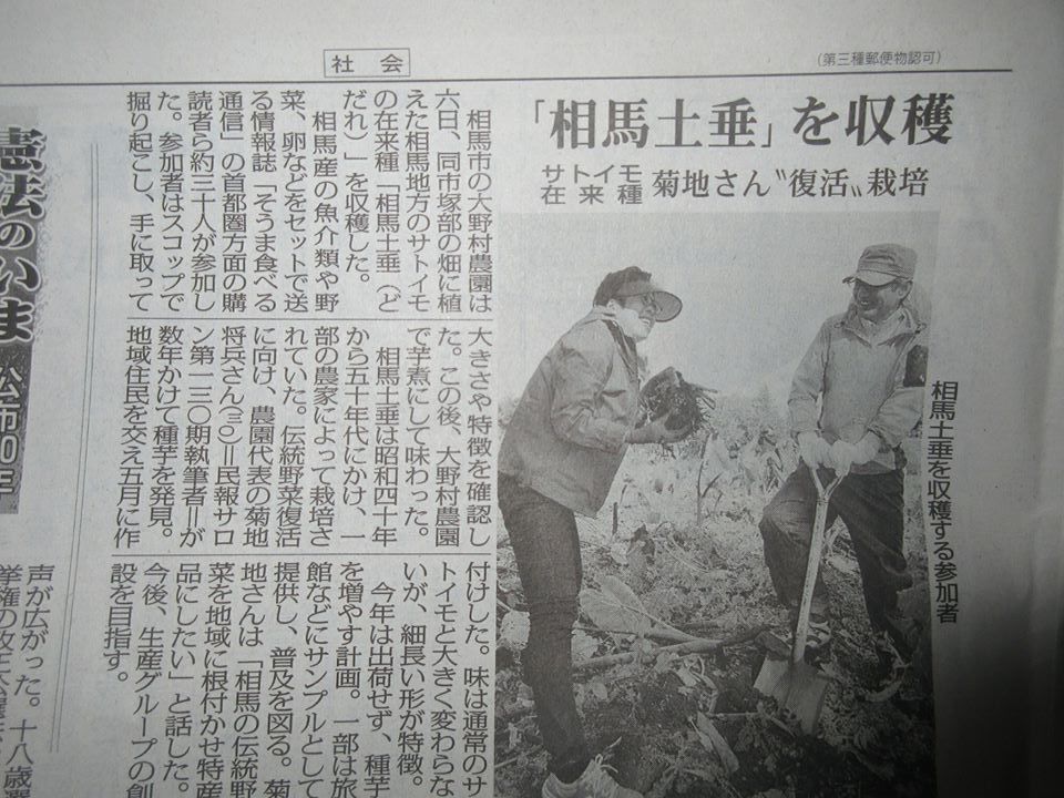 15032285_1115144888593290_7917614680390359569_n