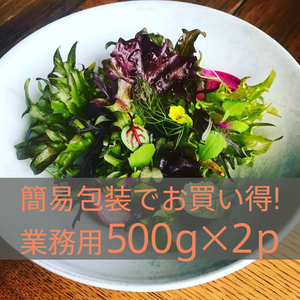 業務用500g×2【違いはわかります！】10種のヨーロピアンリーフミックス