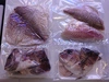 【GW特別企画】 鯛のぼりセット 5/5オンライン食べつくし教室付き 