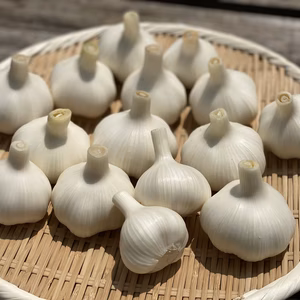 ≪予約商品≫☆有機JAS認証☆にんにく1㎏【6月発送予定】