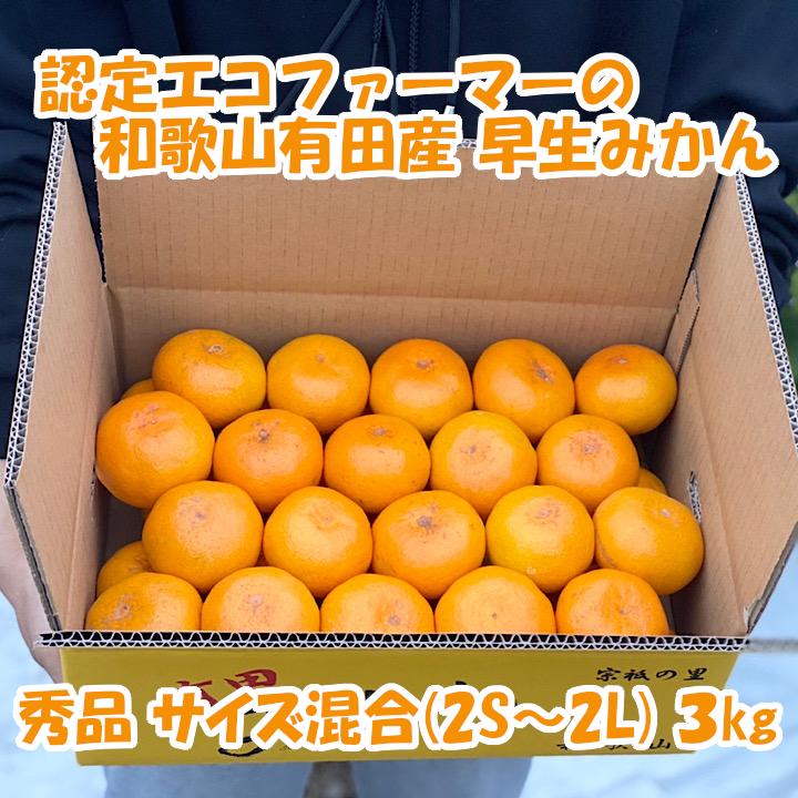 [秀品・サイズMIX]和歌山有田産!早生みかん≪3kg≫★11月下旬〜発送 3kg