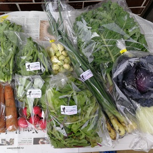 【月2回】旬のアスリート野菜セット(8品)【農薬・化学肥料なし】