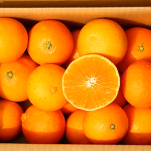 愛媛果試第28号　家庭用　2.5ｋｇ　収穫開始