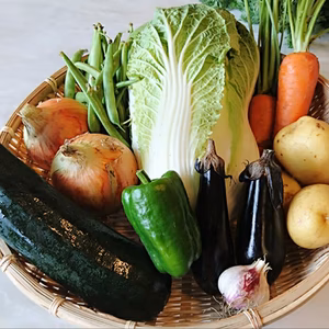 昔ながらの野菜セット（農薬、除草剤、化学肥料不使用）