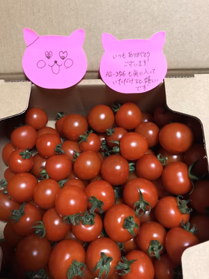 みんなの投稿の画像