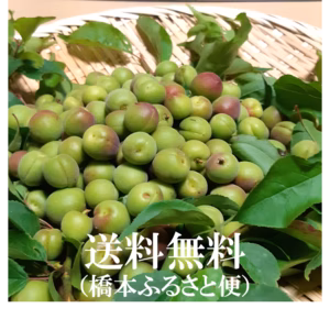 ※【ご家庭用】香りよし小梅(梅干・梅酒・梅ｼﾞｭｰｽなど)谷奥深産