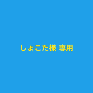 しょこた様専用