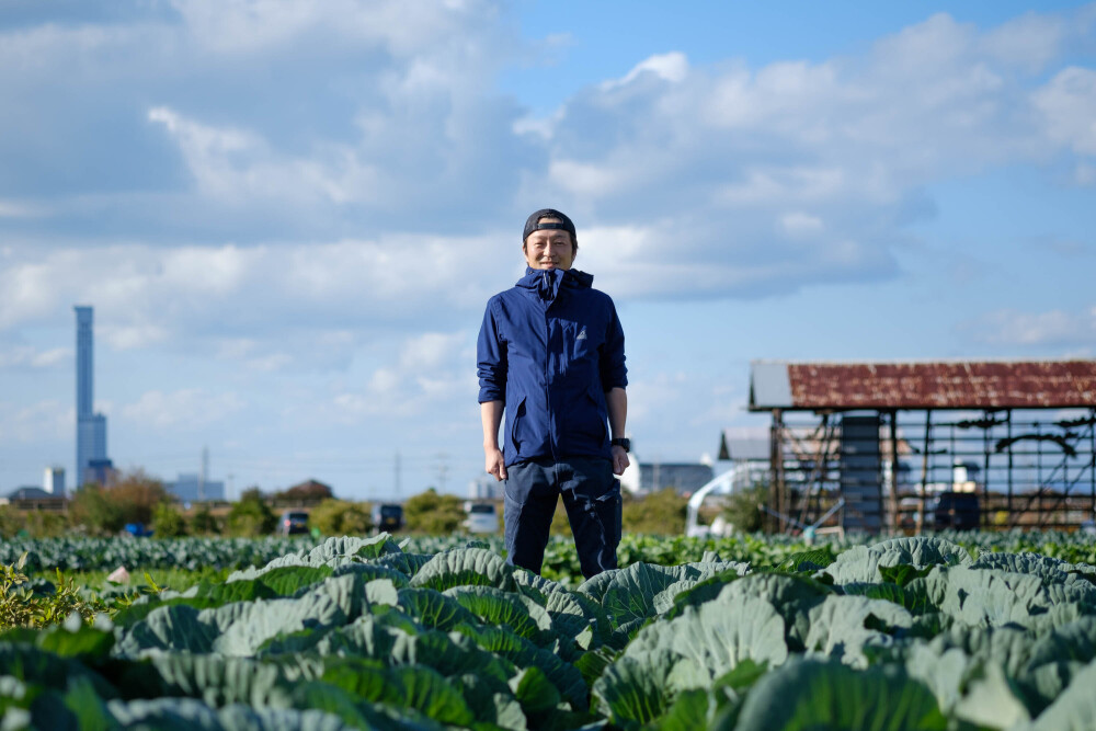 大阪グルメの立役者 松波キャベツ の旬がやってきた Pr 農家漁師から産地直送の通販 ポケットマルシェ