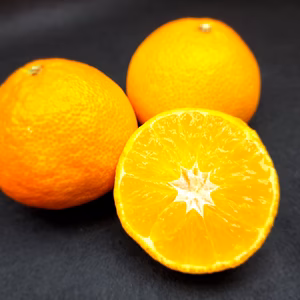 マドンナ　愛媛県人黙って食べるゼリーの食感に衝撃！！