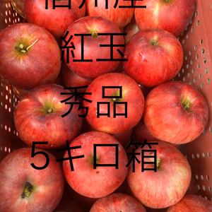 信州産　紅玉　5キロ箱　秀品
