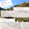 【お買い得】農家直送！はっさく　小玉無選別3kg〜【平武農園】和歌山｜有田｜田口