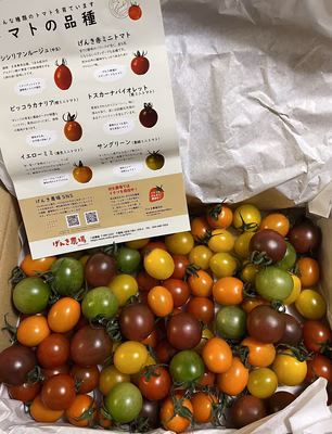 みんなの投稿の画像