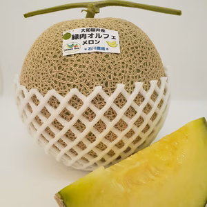 元メロンブリーダーが作る極上緑肉オルフェメロン(２玉）