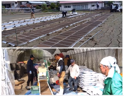 みんなの投稿の画像